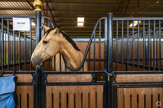 Equestrian facilities are top notch in Ponder.