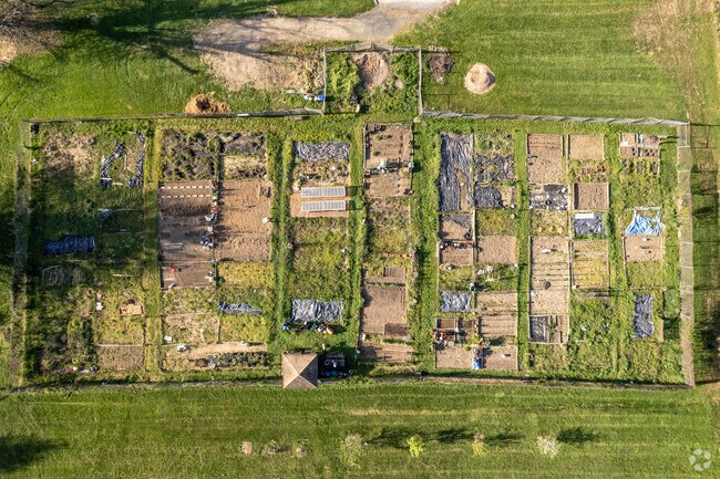 Love gardening? Join the City Farms community garden at Dewees Park.