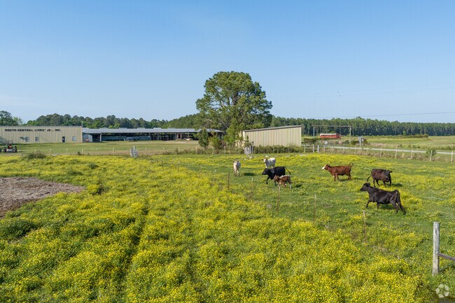 Companies in Fitzgerald, such as South Central Livestock, house cattle on their land.