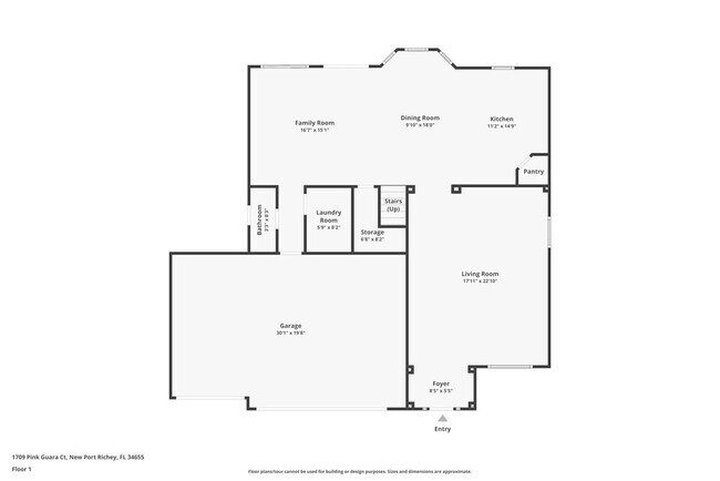 1709 Pink Guara Ct, Trinity, FL 34655 - photo 2