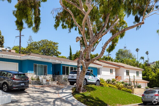 Add a rope swing to the large tree fronting your Seaside, CA home.