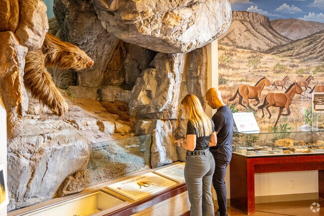 Kartchner Caverns State Park has some of the largest formations in the world.