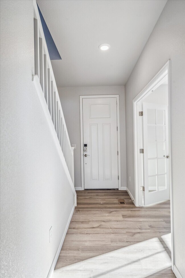 864 Hummocky Way, Windsor, CO 80550