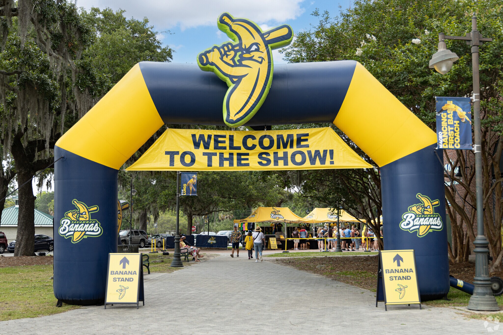 Enjoy a unique baseball experience near Ardsley Park-Chatham Crescent at the Savannah Bananas.