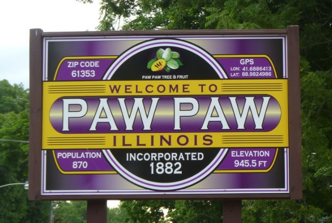 351 Chicago Rd, Paw Paw, IL 61353 - photo 2