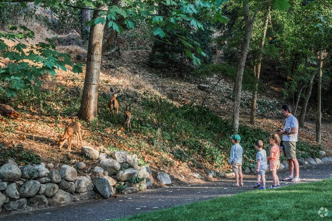 People love viewing wildlife in Cottage District.