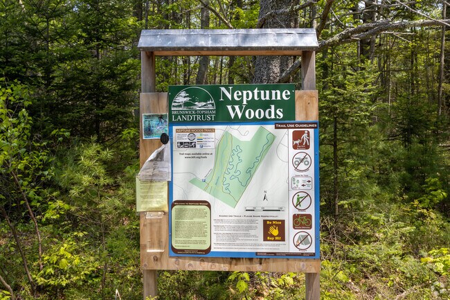 The Neptune Woods Trail offers hiking opportunities in Brunswick Station.
