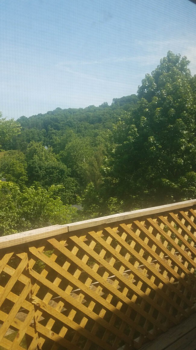Balcony view