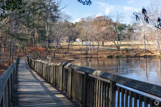 Calvert Cliffs State Park leads visitors to grand views of Chesapeake Bay.
