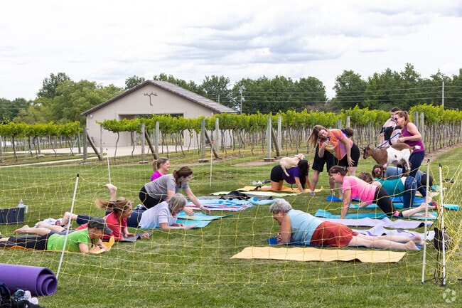 Goat yoga classes are a quirky fitness option for Ripley residents.