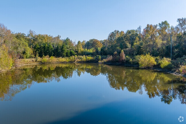 Hidden along some of the walking trails in Goshen you will find beautiful ponds.