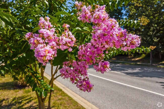 Flowers and blooming trees line the winding streets of Lake Arbor.