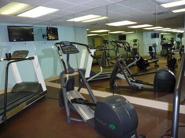 13014 Sanctuary Cove Dr unit 302, Temple Terrace, FL 33637 - photo 4