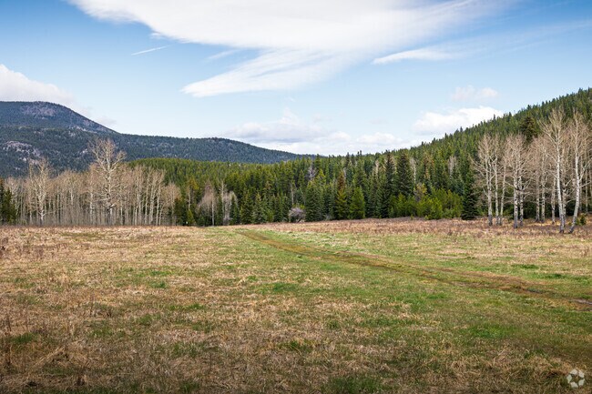 Explore 12 miles of trails at the Beaver Brook Watershed trailhead near Soda Creek.