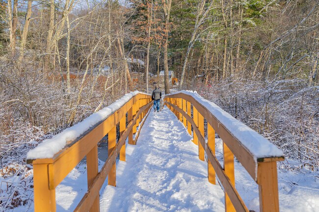 Residents stroll Salem Town Forest’s wooded, 3.4-mile trail network.