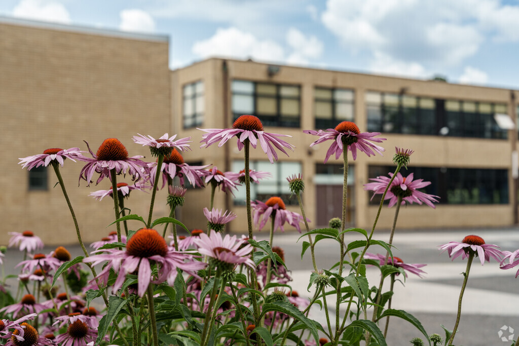 Thoughtful landscaping characterizes the campus at St Eugene Elementary School.
