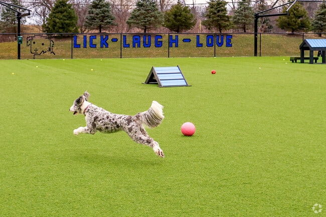 Lick, Laugh, Love is the motto for all of the pups who play at Barkwood Dog Park, in Beachwood.