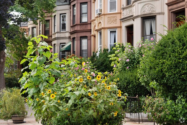 About Prospect Lefferts Gardens Schools, Demographics, Things to Do