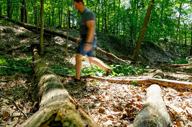 Narrow Gauge Woods is a central nature area and the neighborhood's primary namesake.