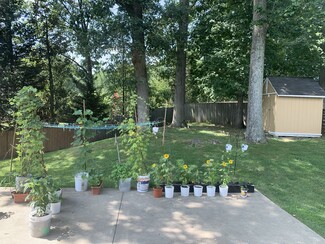 1503 Collingwood Ln, Silver Spring, MD 20904