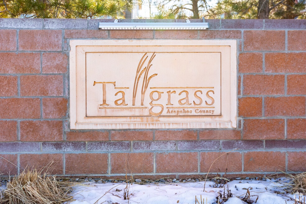 Tallgrass_536123_DW_080825_V1