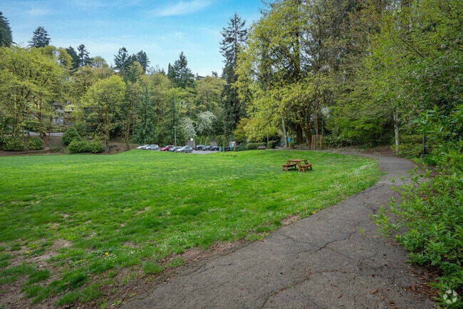 Take the dogs for a walk to Hillside Park in Hillside, Portland.