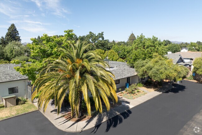 College Oak Montessori School in Santa Rosa has excellent teachers.