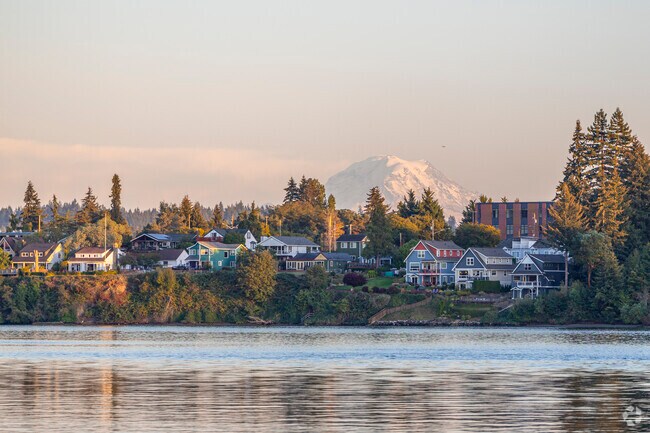 The tip of Mt Rainier can be seen on a clear day from Lions Park in Sheridan Park WA.