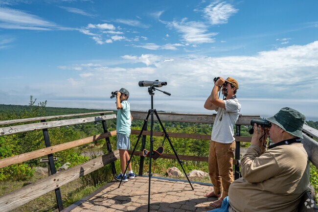 Bird watching is a passion for those who frequent Hawk Ridge near Morley Heights-Parkview.