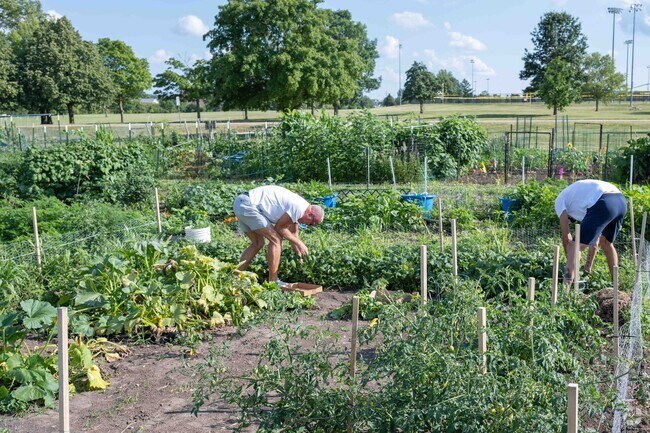 The Eddie Albert Community Garden which is located near the Parkland Ridge area is used by many.