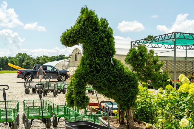 Willow Greenhouse in Salem has a large variety of plants to choose from.