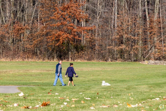 A couple walking their dog on a brisk Autumn day in Hermitage.