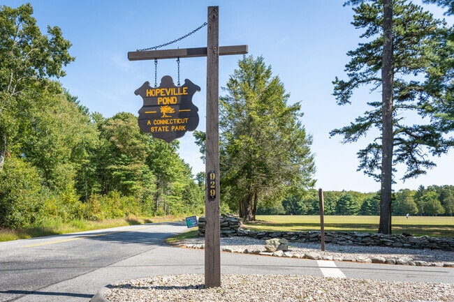 Fishing, swimming and camping abound at Hopeville Pond State Park.