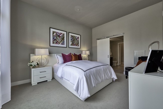 Muse, Denver, CO 80210 - photo 5