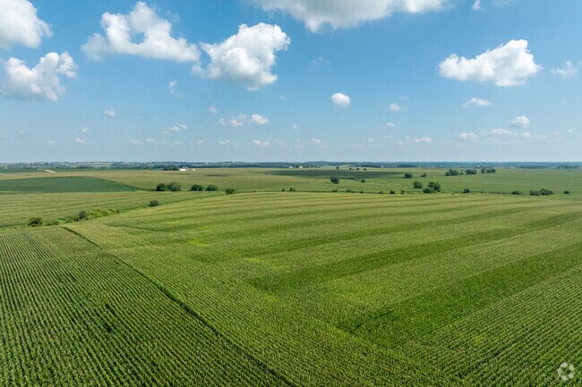 Forreston's scenic rural surrounding are perfect for nature lovers.