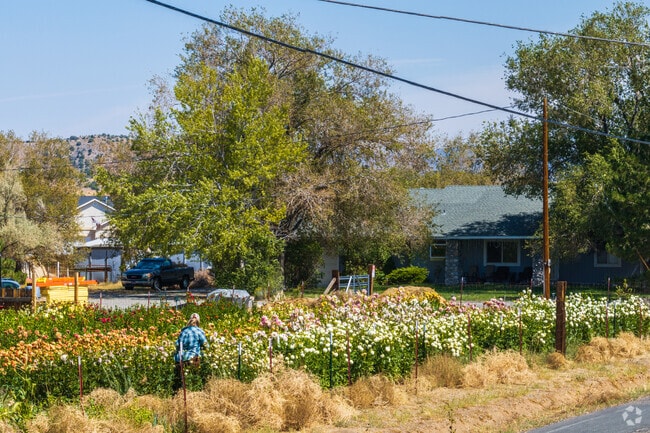 Ruhenstroth homes sit on large lots for gardens and animals, from $340k to $880k.