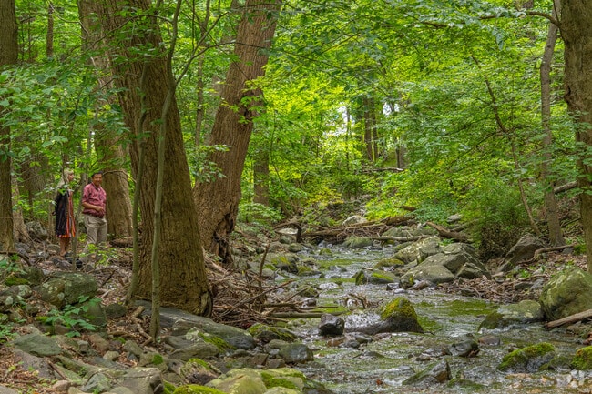 Take a walk along the many waterways of Shawnee on Delaware.