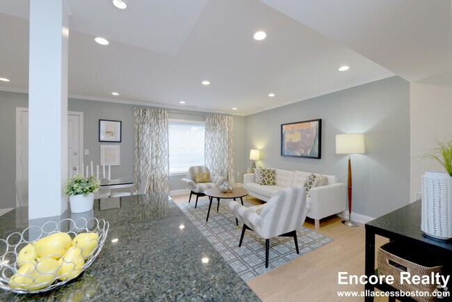 140 Thornton Rd unit 2DLX, Chestnut Hill, MA 02467 - photo 5
