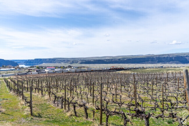 There are many wineries that overlook the Columbia river near the town of Quincy.