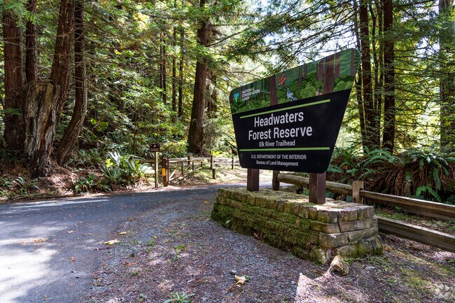 Hydesville residents are located to beautiful hiking trails like Headwaters Forest Reserve.