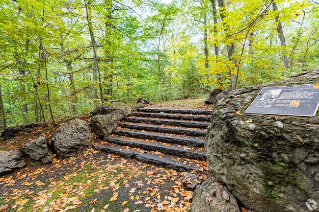 Franklin Park is a cherished gem in Boston, Massachusetts, renowned for its stunning landscapes and vibrant community atmosphere.