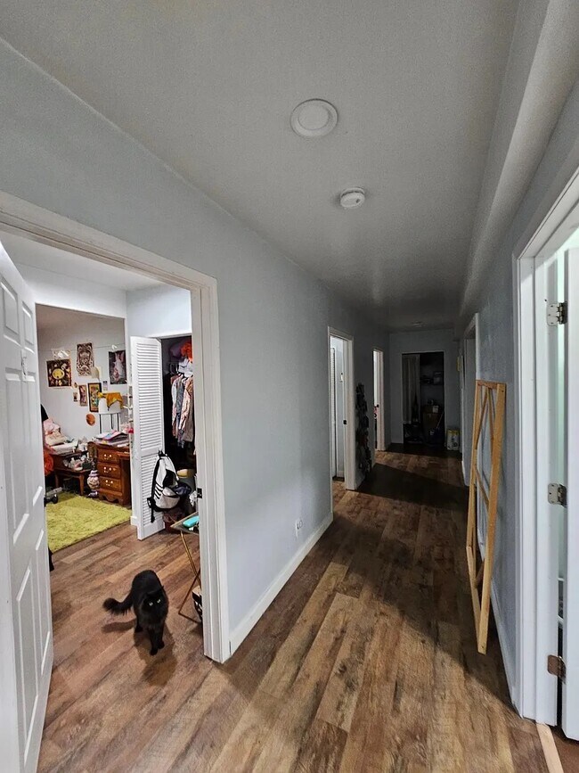 927 College Ave Unit 8, Morgantown, WV 26505