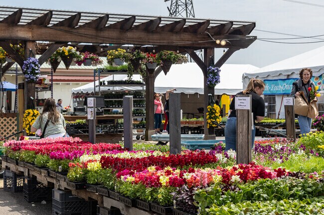 Sharon residents can shop the colorful selection of flowers at Wards Berry Farm.