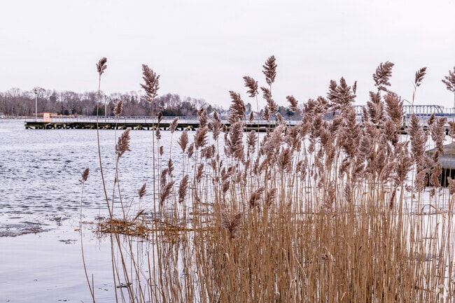 Floral Park River View
