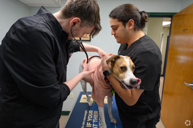 North Haledon Veterinary Care is a trusted spot for pet care in town.