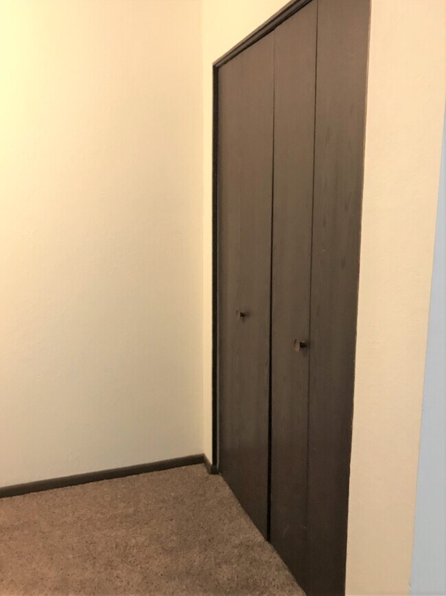 203 N 1st St unit 1, Elysian, MN 56028 - photo 6