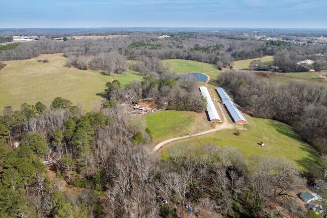 Vast, rolling expanses of pristine wilderness and vibrant greenery can still be uncovered just beyond the city limits of Jefferson, where nature thrives in serene beauty.