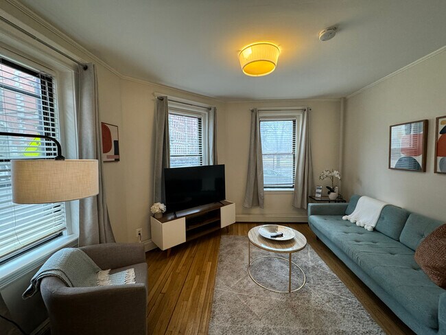 34 E Newton St unit 2, Boston, MA 02118 - photo 5