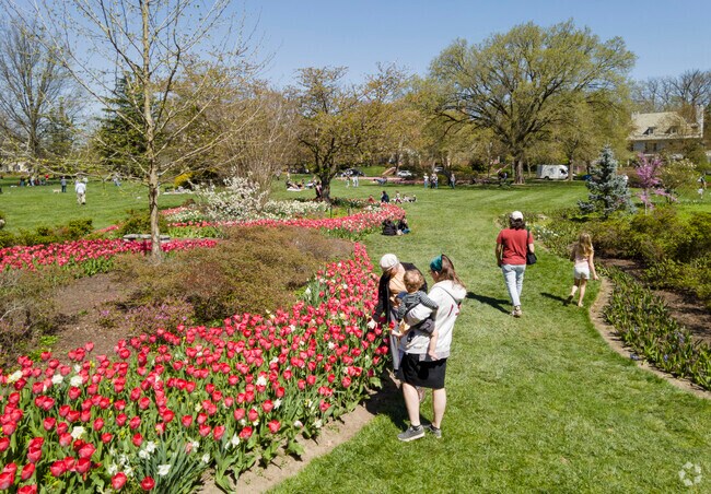Sherwood Gardens annual tulip display is a wonderful day trip for Keswick residents.