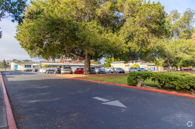 Educational opportunities abound at As-Safa Institute/As-Safa Academy.